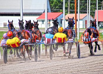 149th Cumberland Fair heads big Maine-breds week