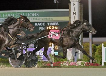 Caesars Trotting Classic to Forbidden Trade