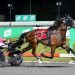 Extended holiday pays off in trotters final