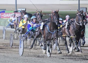 ‘Frank The Tank’s’ progeny fire up