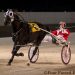 Ageless pacer wins again on Night of Champions