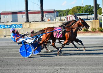 Gateway Gal, Heinikinbythebay win DSBF Preps