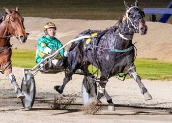 Lee’s word of warning