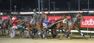 Play boy entertains punters