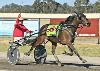 Mattie tickled pink as superstar returns