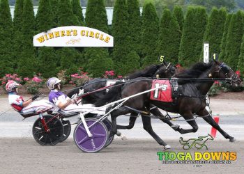 Mondillo tries again for Little Brown Jug