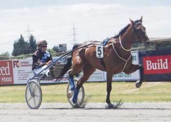 Williamson runners have the ability