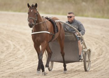Announcer to call his own horse in $824,000 Metro
