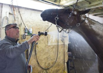 Announcer to call his own horse in $824,000 Metro