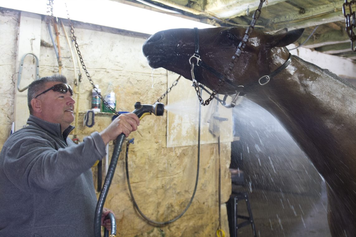 Announcer to call his own horse in $824,000 Metro - Harnesslink