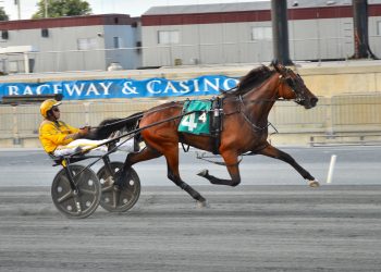 DSBF Prep to LG’s Reed O Wen