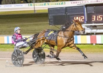 Next stop, the Victoria Oaks!