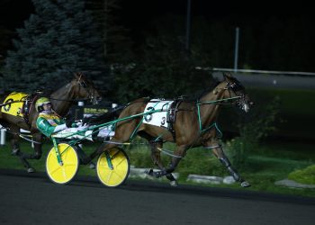 Lyons Sentinel unstoppable in Milton