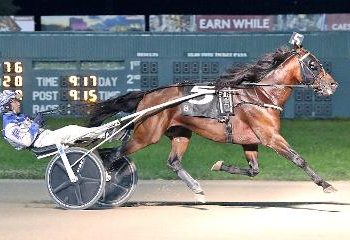 Veterans sizzle in Ohio Sires Stakes Championships