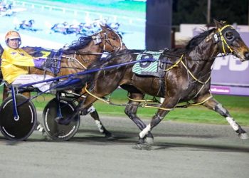 Storm survives tense Brennan Memorial