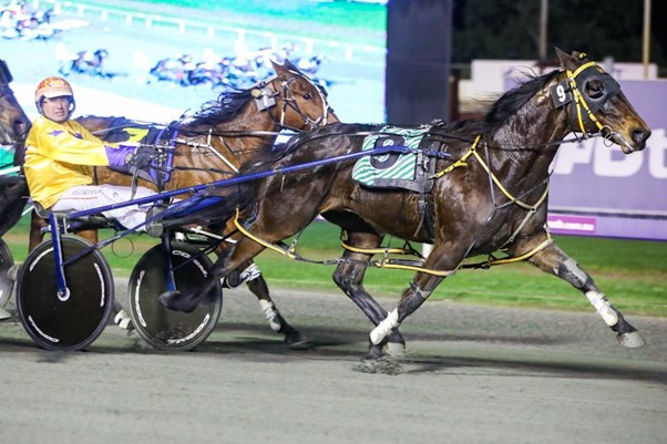 Trent's Tips - Gloucester Park 5th December 1