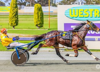 Stunning performance by Magnificent Storm