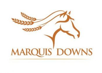 Harness racing back at Marquis Downs after 10 years