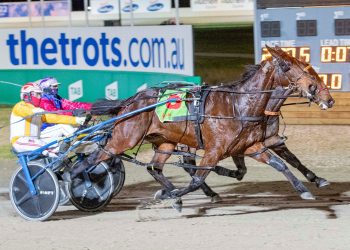 Aiken chases fourth Smoken Up with trio of stars