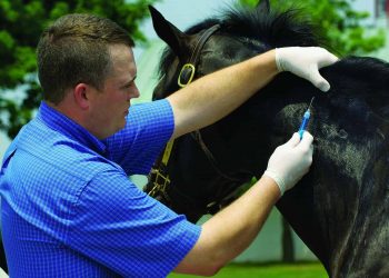 USTA votes to maintain 2022 microchip deadline