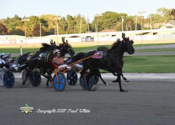 Misty Memory N overlooked in third straight win