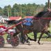 Maine Standardbred Breeders Stakes at Cumberland