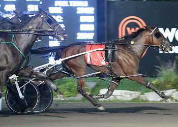 McNair masterful in Grassroots action