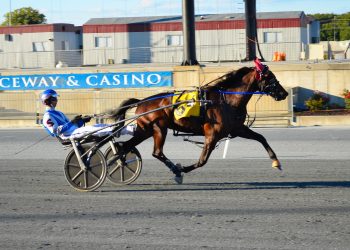 2YO trotters complete second leg DSBF