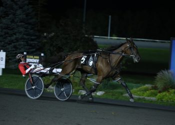 Niki Hill stays perfect in $500,500 Shes A Great Lady