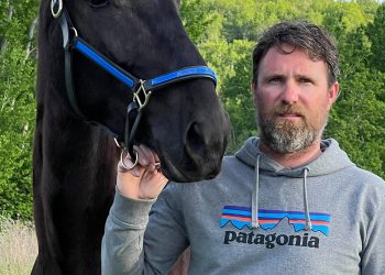 Filly takes on older mares again