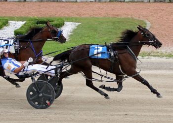 Local filly triumphs in Grassroots