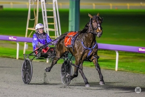 Barrier one the ace for WA talent