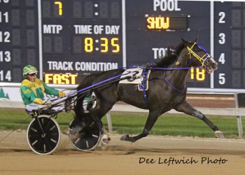 Trotters in limelight at Running Aces