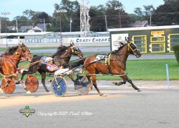 Protect Blue Chip back to winning ways