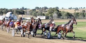 Queensland Harness Racing wrap