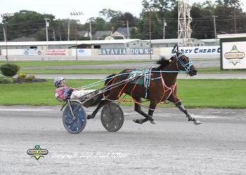 Kiwi mare posts fourth straight