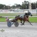 Kiwi mare posts fourth straight