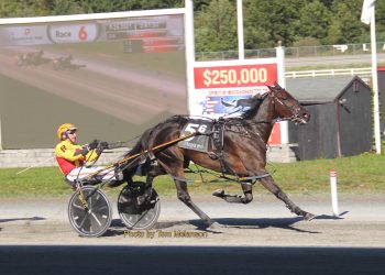 Gingras catches fire in Massachusetts Sire Stakes