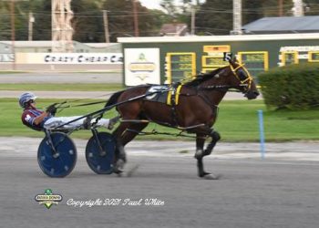 Art Scene was picture perfect at Batavia