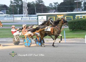 Invader takes down Batavia Open Trot