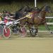 SB Bodacious ultra game in Aces Tuesday feature