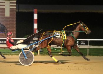 Pacers dominate in Aces features