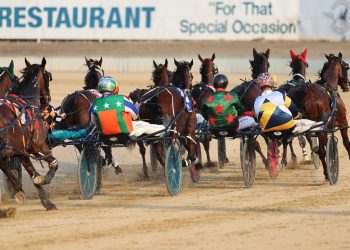 Police called in on horse swap investigation