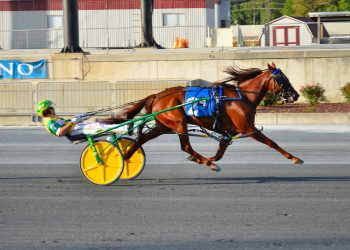 DSBF Series underway at Harrington