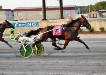 Shoobee Doo A best in return from layoff