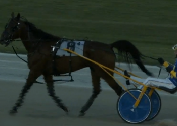 Supreme Sicario victorious in Preferred