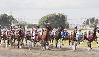 Syndicate notch first harness racing win