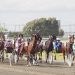 Syndicate notch first harness racing win