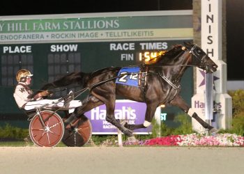 $156,300 Matron a homer for Swingforthefences