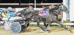 Tasmanian Harness Highlights podcast